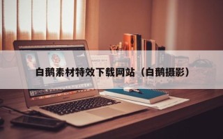 仙桃白鹅素材特效下载网站（白鹅摄影）